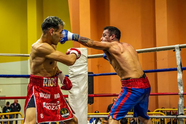 Les grades et ceintures en judo